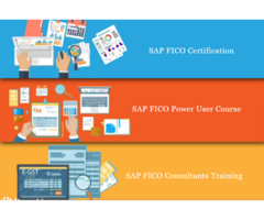 SAP Hana Finance Course in Delhi, SLA Accounting Classes, GST, SAP FICO Training Institute,