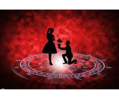 Solve Your Problem With The Best Astrologer In Indirapuram Ghaziabad - Image 1