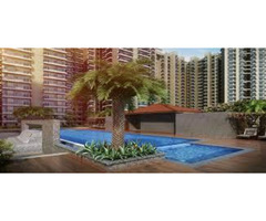 World-Class Apartments In Nirala Estate Noida Extension - Image 3