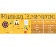 HR Practical Training, Delhi, Noida, Ghaziabad, Gurgaon, SLA Human Resource Classes, Netaji, SAP Pay