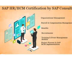 SAP HCM Training Course, Delhi, Noida, Gurgaon, "SLA Consultants", HR Generalist,  Human Resource Ce