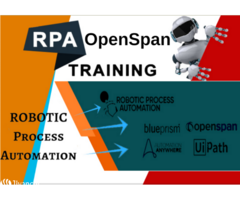 Openspan Training Course, Delhi, Faridabad, Ghaziabad, SLA Consultants, Best Institute RPA,