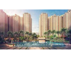 Benefit From Getting The Apartment From Nirala Estate in Noida Extension - Image 1