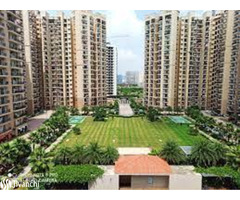 Benefit From Getting The Apartment From Nirala Estate in Noida Extension - Image 2