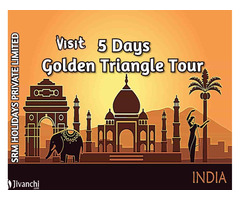 Travel Agents in Delhi - Image 3