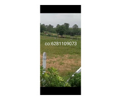 Plots for sale at pargi