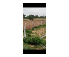 Plots for sale at pargi - Image 2