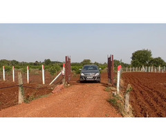 Agricultural land for sale at Manneguda (mango valley) - Image 4
