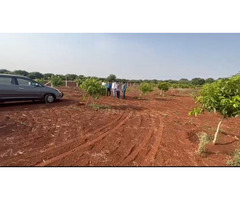 Agricultural land for sale at Manneguda (mango valley) - Image 6