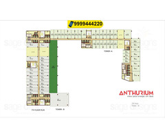 Anthurium Price List, Anthurium Floor Plan