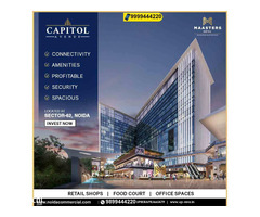 Capitol Avenue Noida, Capitol Avenue Review - Image 3