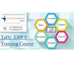 Goods & Services Tax (Tally) Course, Online Certification -  - SLA Consultants India, Delhi, Noi