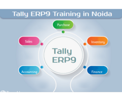 Tally Course, 100% Job, Salary upto 3.2 LPA, SLA ERP & Prime, Excel Training Certification, Noid