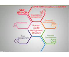 SAP HR HCM Training Certification in Delhi, Noida, Ghaziabad, SLA Institute, SmartHR Payroll  Course