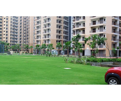 BEST CHOICE  NIRALA ESTATE IN PHASE-2 -WEST GREATER NOIDA - Image 3