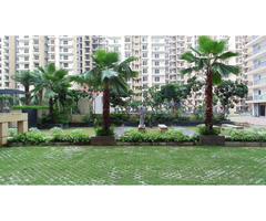 BEST CHOICE  NIRALA ESTATE IN PHASE-2 -WEST GREATER NOIDA - Image 6