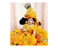 Ask About Laddu Gopal from Astrologer in Noida Extension - Image 4