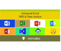 MIS Training Course, Delhi, Ashok Vihar, SLA Institute Offer ->100% Job, SQL, VBA, MS Excel Certi