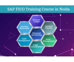 SAP FICO Certification in Noida, SAP Institute, SAP Hana Finance, GST Training Course,