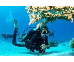 Andaman Luxury Tour Packages