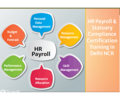 HR Training Course in Delhi, Noida, Faridabad, SLA Institute, Saral Pay Pack Payroll Certification