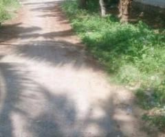 1742 ft² – 4 cent Residential Land / Plot for sale in Menamkulam