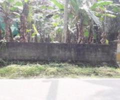 4355 ft² – 10 cent Residential Land / plot for sale in Andoorkonam