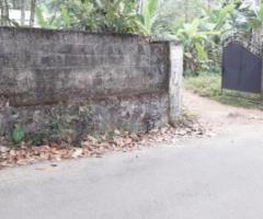 28310 ft² – 65 cent Residential Land / Plot for sale in Mangalapuram