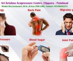 SRI KRISHNA ACUPRESSURE CENTER PALAKKAD KERALA