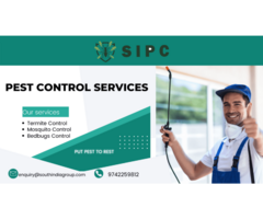 Best Pest Control in Bangalore