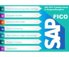 SAP FICO Certification Course in  Delhi, Noida, Ghaziabad with Tally and SAP FICO Software, 100% Job