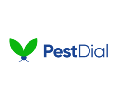 pestdialhyderabad