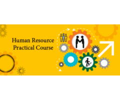 Job Oriented HR Training in Delhi, SLA Human Resource Institute, North Campus, HR, Payroll Certifica
