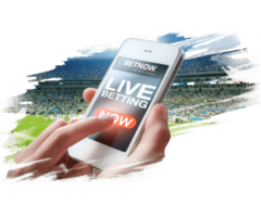 Do you want to develop Sports betting app ?