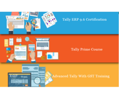 Best Tally Classes in Delhi, Mayur Vihar, Accounting Institute, SAP FICO, GST Training Course, 100% 