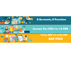 Accounting Training Course, Delhi,  Dilshad Garden, SLA Learning, SAP FICO, Tally Prime / ERP 9.6, G