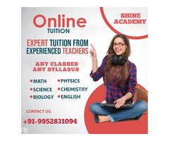 Online tutoring - Image 3