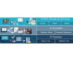 Accounting Certification Course in Delhi, Noida, Ghaziabad with Tally and SAP FICO Software by CA, 2