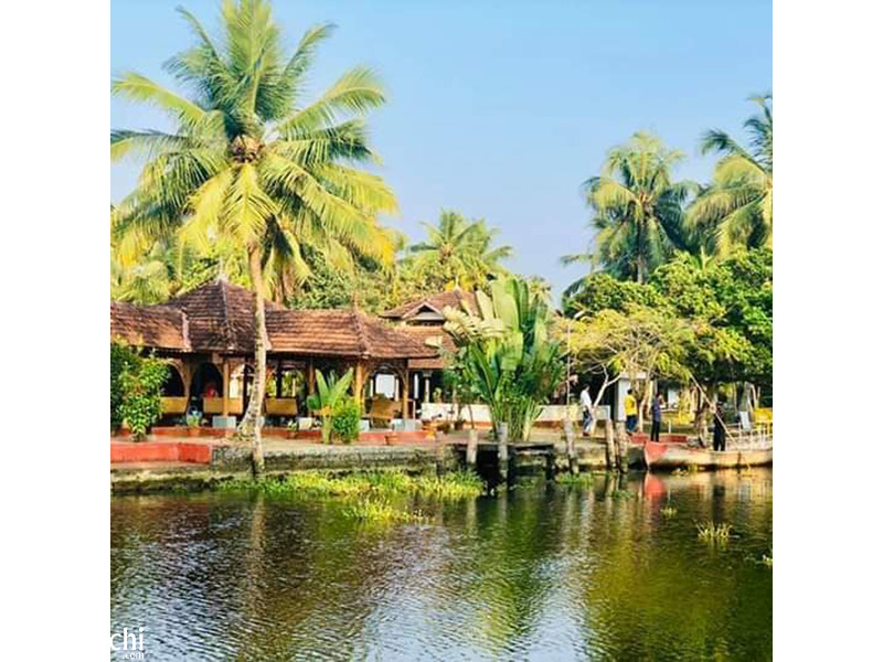 Ayurwakeup - Ayurvedic Treatment Centre and Resort  in Kerala, India - 1