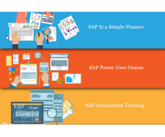 SAP FICO Course in Delhi, SLA Accounting Institute, SAP s/4 Hana Finance Certification, BAT Training