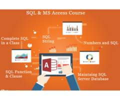 Job Oriented MIS Certification, Delhi, Noida, Ghaziabad, Excel Course, VBA Macros SQL, Free Placemen