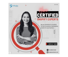 Its Time To Build Your Online Store With Shopify Expert