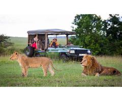 Kenya Budget Camping Safaris - Image 1