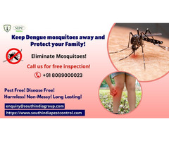 Mosquito Control in Bangalore