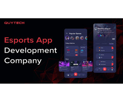 Esports App Development Company
