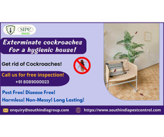 Cockroach Control Bangalore