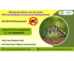 Mosquito Control Services in Bangalore