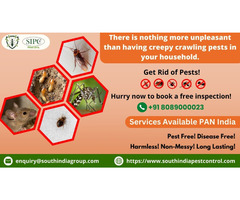 Pest Control Bangalore