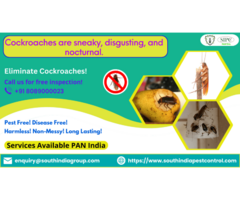 Cockroach Control Bangalore