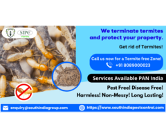 Termite Control Services in Bangalore